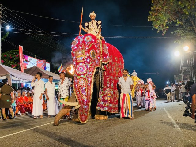 Dambadeniya Esala Perahera